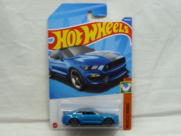 画像1: FORD SHELBY GT350R (1)